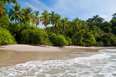 A quiet, palm-fringed cove at Playa Piñuela within Marino Ballena National Park, Costa Rica