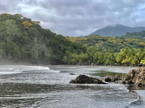 The rocky, jungle-backed coastline at Playa Ventanas near Ojochal, Costa Rica, with waves washing over dark volcanic rock