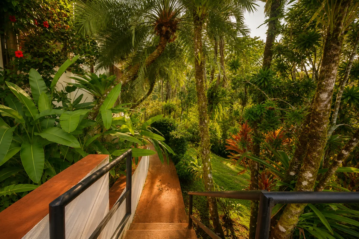 Stone steps winding down through dense tropical jungle and palm trees on the property
